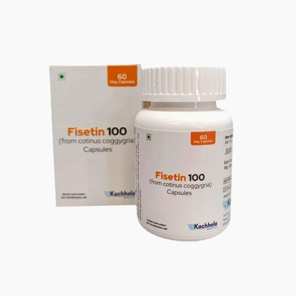 피세틴 Fisetin100mg (노화방지효과)