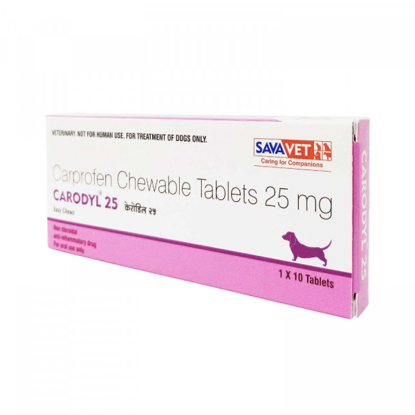 리마딜 카프로펜 CARODYL 25mg 60정