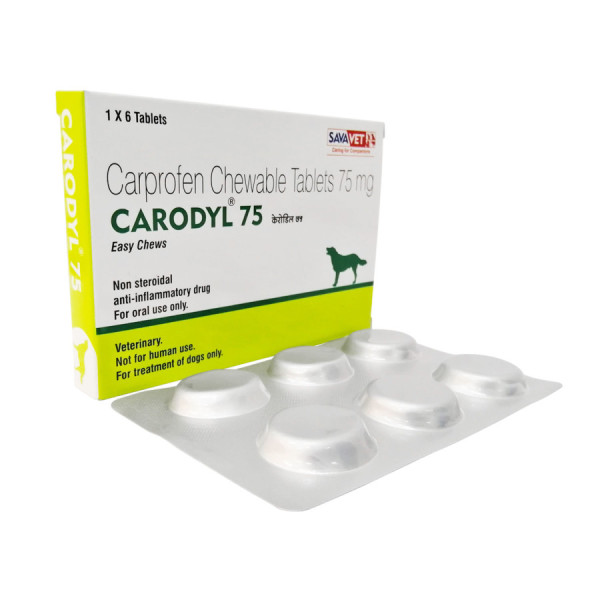 리마딜 카프로펜 CARODYL 75mg 36정